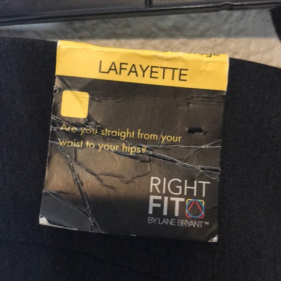 Lane Bryant right fit pants - Picture 4 of 5